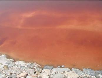 biological mgmt of sambhar lake